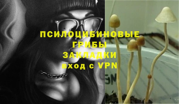 трава Абаза