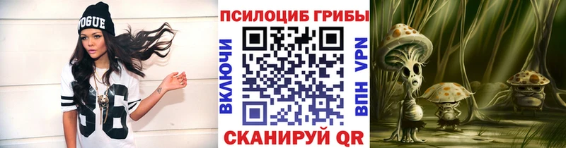 Галлюциногенные грибы MAGIC MUSHROOMS  цены   Советск 